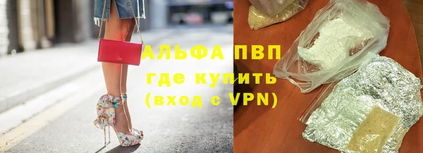 дживик Няндома