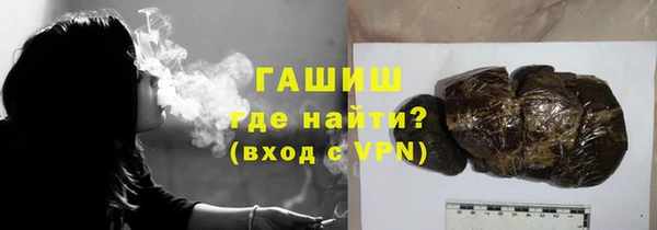 дживик Няндома