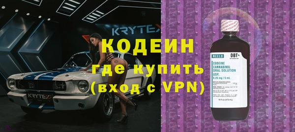 дживик Няндома