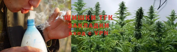 дживик Няндома