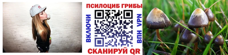 Галлюциногенные грибы Psilocybe  магазин    Кстово 